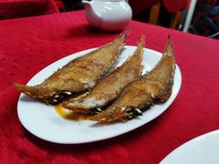 -蛇口康乐快餐鱼仔档(翠苑小区店)