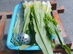 -章记正宗南岗鱼蛋火锅