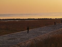 -南汇嘴观海公园