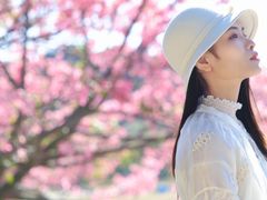 -风云岭森林公园