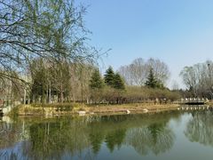-郑州植物园