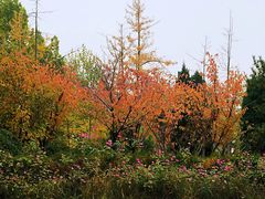 -中家鑫园温泉酒店鑫悦汤泉