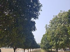 -食膳公园包子铺(烈士公园店)