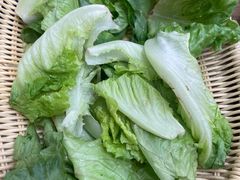 -皖北三胖地锅鸡(高速时代广场店)