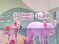 -陕西自然博物馆