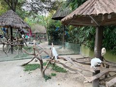 -上海野生动物园