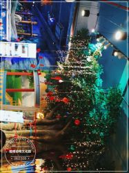 -酷嗒动物文化乐园(cutezoo西溪乐天城店)