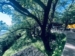 -虞山风景区