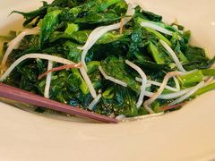 火丝银芽豆苗-江南雅厨(李公堤店)