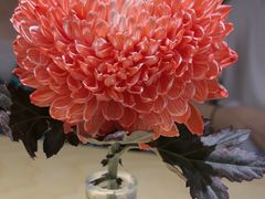 -一坐一忘云南菜(卓悦中心)