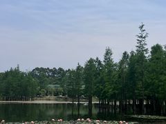 -白鹭湾湿地公园