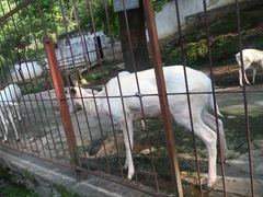 -白鹿洞书院