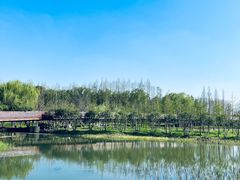 -昆山城市生态森林公园