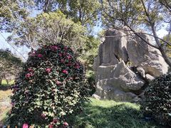 -南汇桃花村