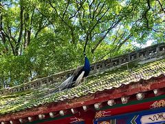 -少华山国家森林公园
