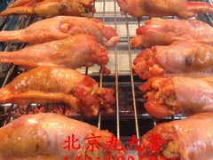 -西单翅酷(西单店)