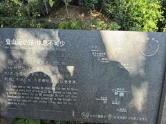 -龙井村