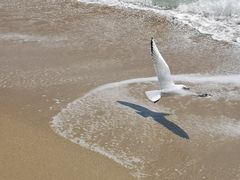 -海云台海滩
