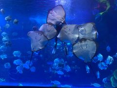 -福州罗源湾海洋世界旅游区