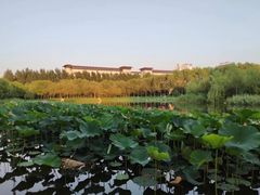 -吉林大学(前卫南区)