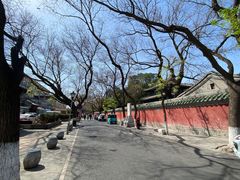 -北京国子监胡同