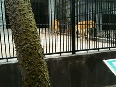 -广东茂名森林公园