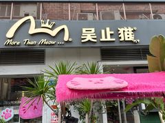 -more than meow吴止猫主题餐厅(承德 中船汇店)