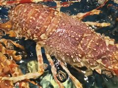 -海景壹号大酒店(滨湖店)