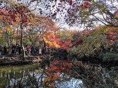 -秋霞圃