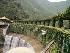 -郧西五龙河风景区