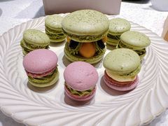 -ABC Cooking Studio(上海环球金融中心店)