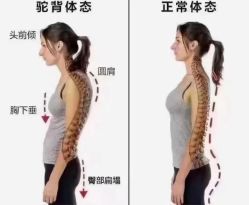 -卡莫瑜伽·普拉提
