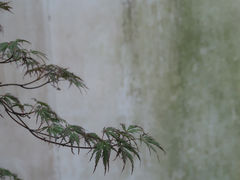 -虎丘山风景名胜区
