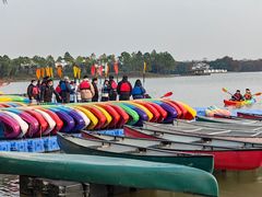 -上海海湾国家森林公园
