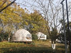 -武汉园博园(武汉自然博物馆)