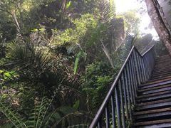 -七仙岭温泉国家森林公园