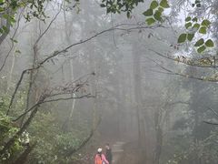 -岣嵝峰国家森林公园