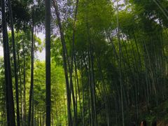 -山沟沟景区