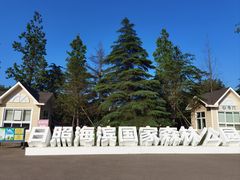 -日照海滨国家森林公园