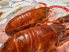 -新光酒家·河豚·海鲜·蟹料理(浦东店)