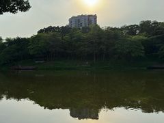 -深圳国际园林花卉博览园