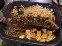 -川渝窈妹纸包鱼·齐齐哈尔烤肉
