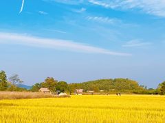 -良渚古城遗址公园