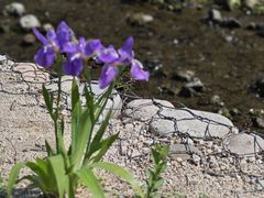 -白水寺森林公园