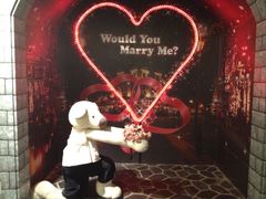 泰迪熊博物馆-济州岛泰迪熊博物馆