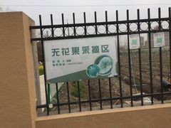 -菊园百果园