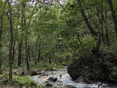 -玉渡山自然风景区
