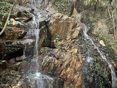-南丹山森林王国