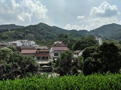 -龙井村
