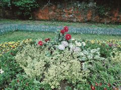 -庐山风景区花径公园